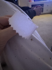 Found on my dressing table any idea?