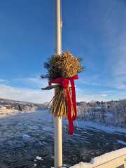 Year round Nigel Slater discussion thread - Part 3