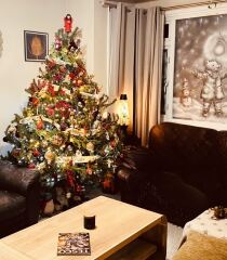 To start a Show of your Christmas tree thread.