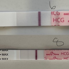 7dp5dt tests