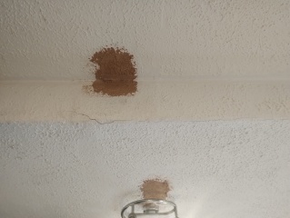 Update ceiling or not?