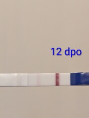 Advice on early positives and One Step tests