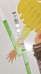 Would you consider this a positive opk?