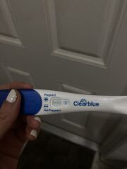 Clearblue VFL