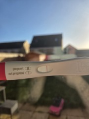 Ovulation test normal?