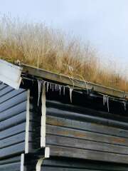 Year round Nigel Slater discussion thread Part 2