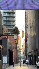 Come and tell us your dull and unexciting news 34: Calmly through the day