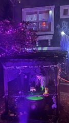 Come and tell us your dull and unexciting news 34: Calmly through the day