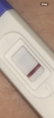 Pregnancy test