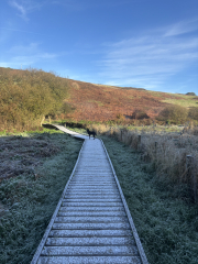 The Nigel Slater Christmas Chronicles readalong 2025 - Part 2