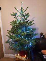 The Nigel Slater Christmas Chronicles readalong 2025 - Part 2