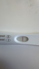 4 weeks 4 days- 13dpo. Chemical