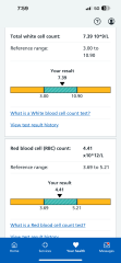 Anyone know about low iron/ferritin