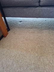 Big dents in carpet