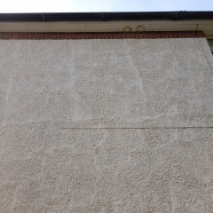 What could be cause of damp/moulds - how to get help