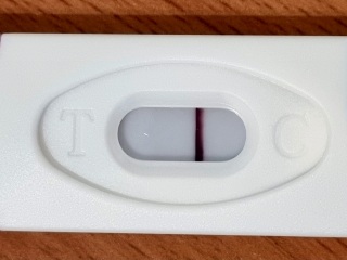 17DPO vvv faint line?