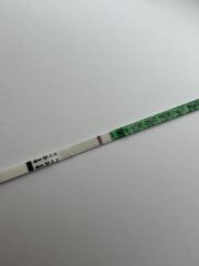 Am I pregnant?