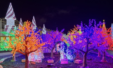 Daily Project round 8