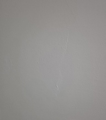 Professional painter expectations