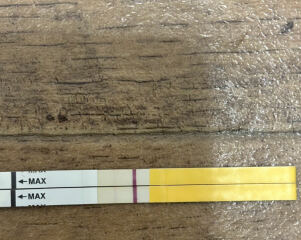 Vvvvvfl after a short period?