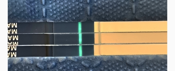 Just feeling so meh this morning