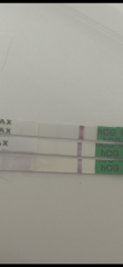 Tests