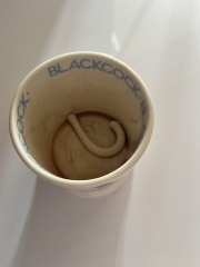 Emma Bridgewater mug handles keep dropping off!