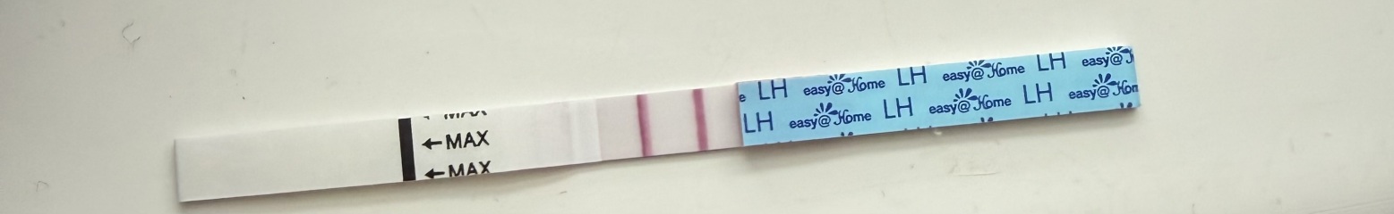 Ovulation test.