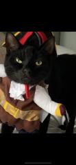 MrCat hasn’t read the manual