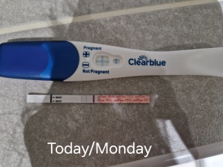 Due July 2026 🤍