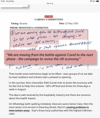 The Bluestocking: All You Need to Know About Risk Assessments, Jazz Hands, Battenberg and Sourdough (But Were Afraid to Ask) - and gerbils. Lots and lots of gerbils.