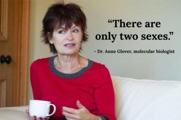 Have I completely misunderstood GCSE biology...