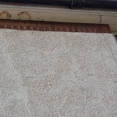 What could be cause of damp/moulds - how to get help
