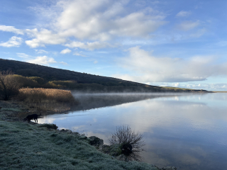 The Nigel Slater Christmas Chronicles readalong 2025 - Part 2