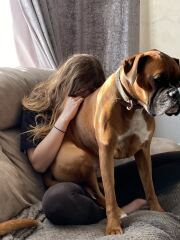 Do you have a large-ish dog, e.g. Boxer and bigger that insists on being a lap dog, when it really isn't?