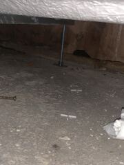 Mould problems in bungalow. Recently concerned for my health and don’t know what to do next. Please help