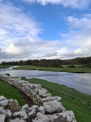 The Nigel Slater Christmas Chronicles readalong 2025 - Part 2