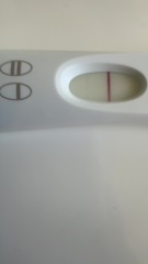 4 weeks 4 days- 13dpo. Chemical