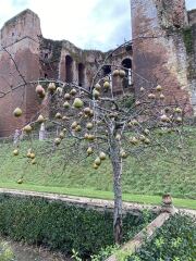The Nigel Slater Christmas Chronicles Readalong 2025