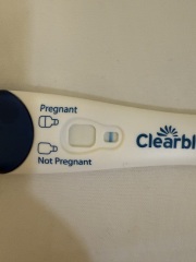 8dpo squinter ??