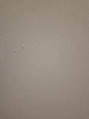 Professional painter expectations