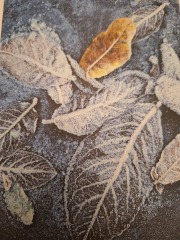 The Nigel Slater Christmas Chronicles Readalong 2025