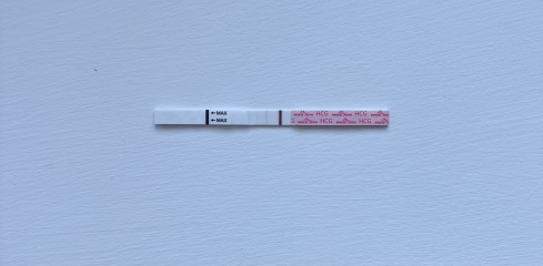 8dp5dt Frozen Transfer… very faint line!