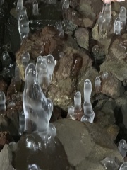 The Nigel Slater Christmas Chronicles Readalong 2025