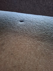 Big dents in carpet