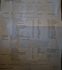 Am I anemic?