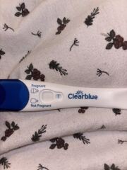 Clear blue evap lines?