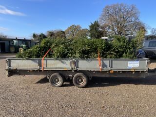 The Nigel Slater Christmas Chronicles readalong 2025 - Part 2