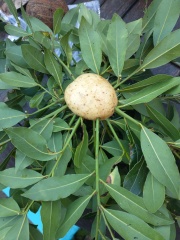 What are you up to today if you have chronic illness? Thread 3