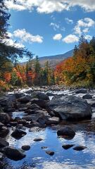 UK vs USA landscape 😆